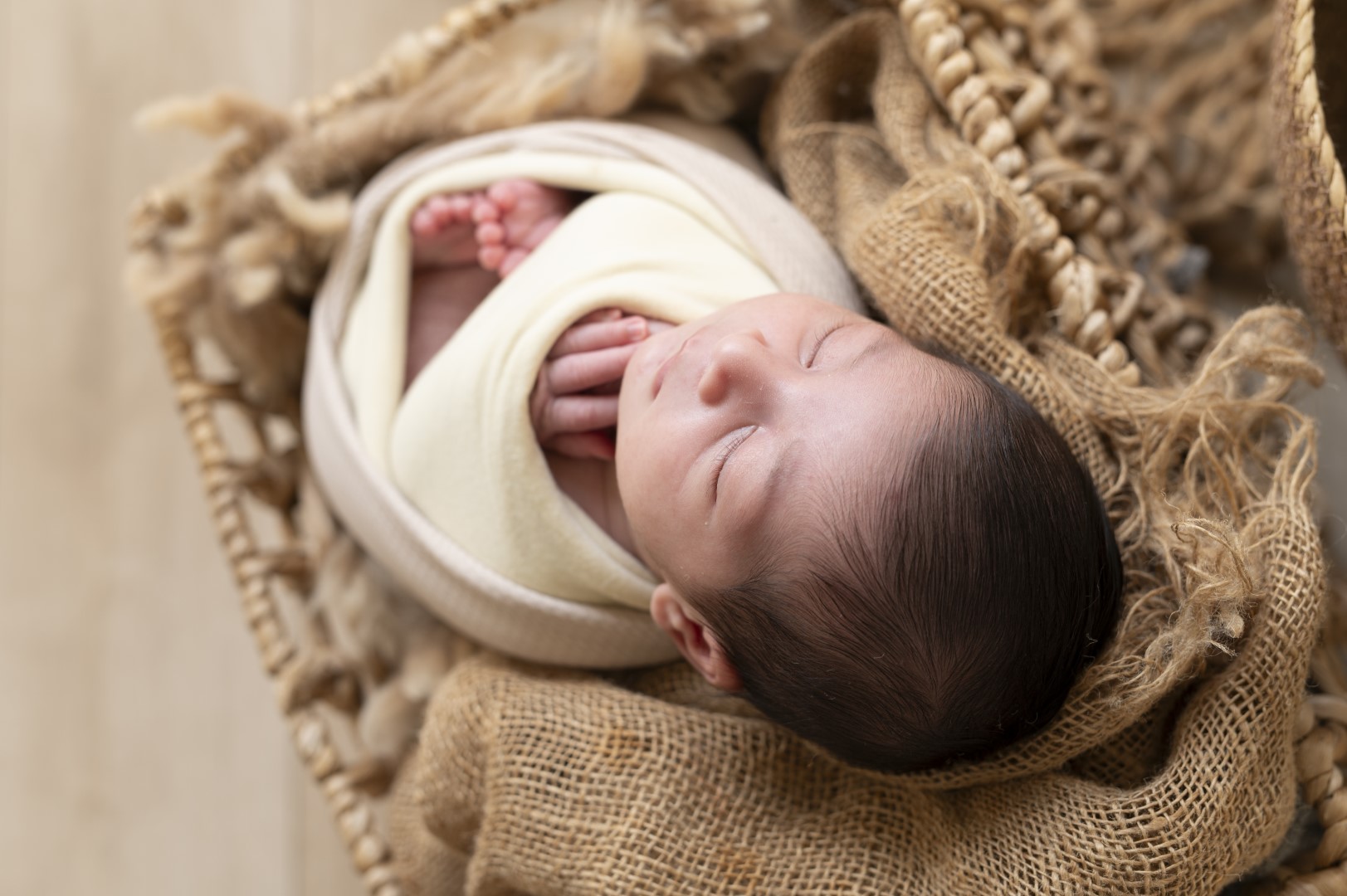 צילומי ניובורן 12